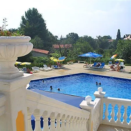 Dahlia Garden Golden Sands